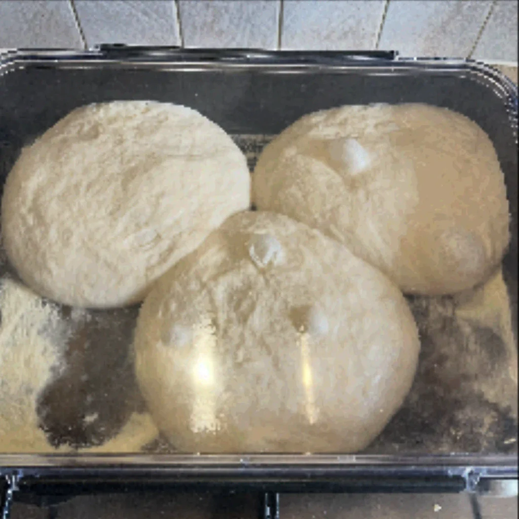 pizza dough recipe balls proofing in a covered container before shaping